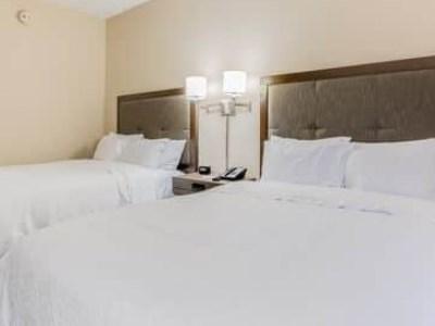 Hotel Hampton 3*